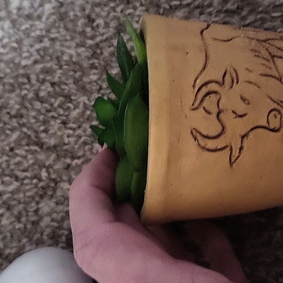 Ridgecut Toughwear Women Jacket Combo - Picture 14 of 14